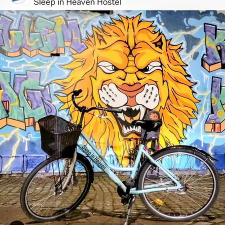 Sleep In Heaven
