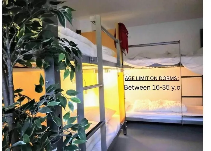 Sleep In Heaven Hostel *